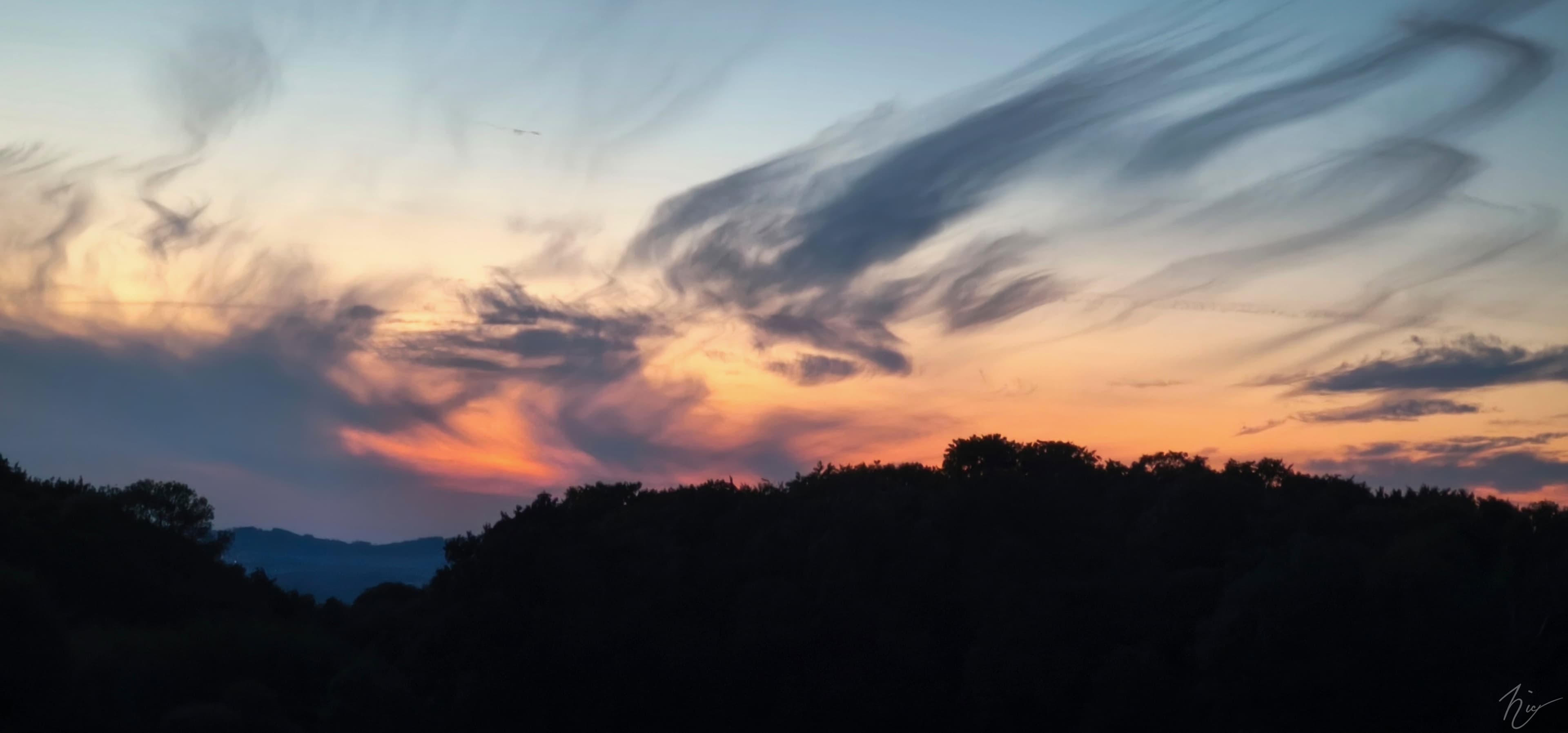 Da kommt ein Vogel geflogen