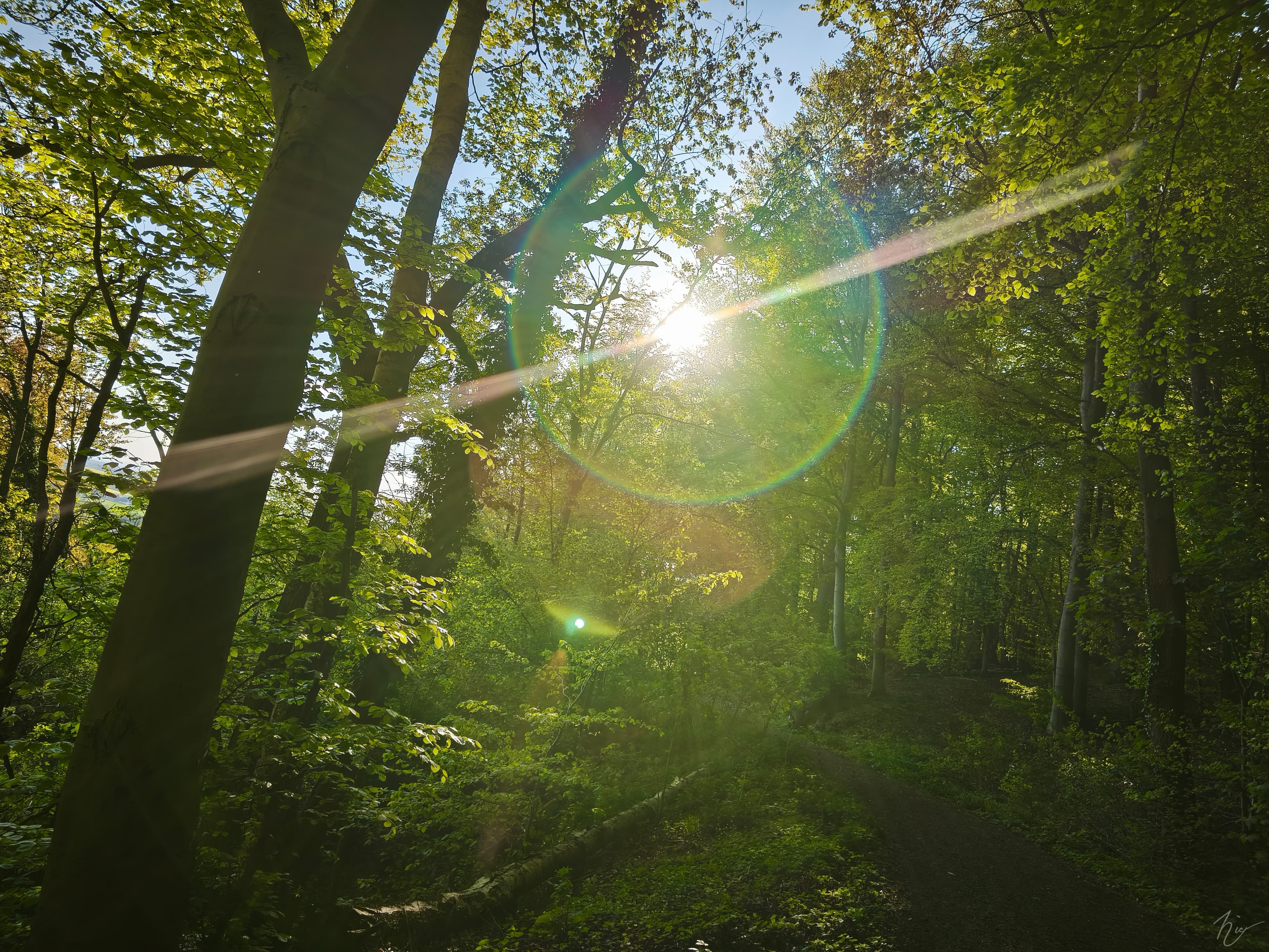 Im Herzen des Lichts