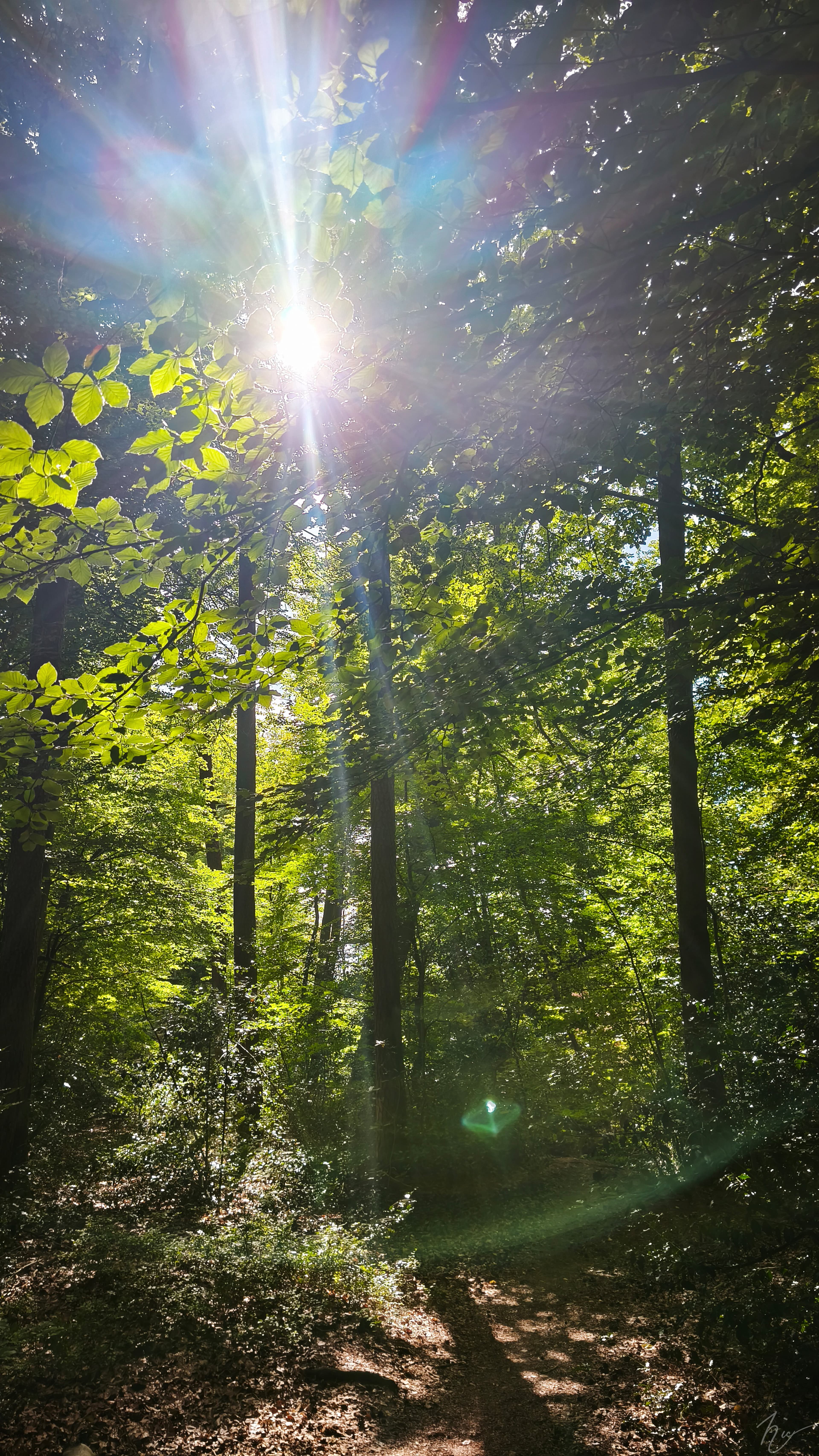 Vertraue deiner Intuition